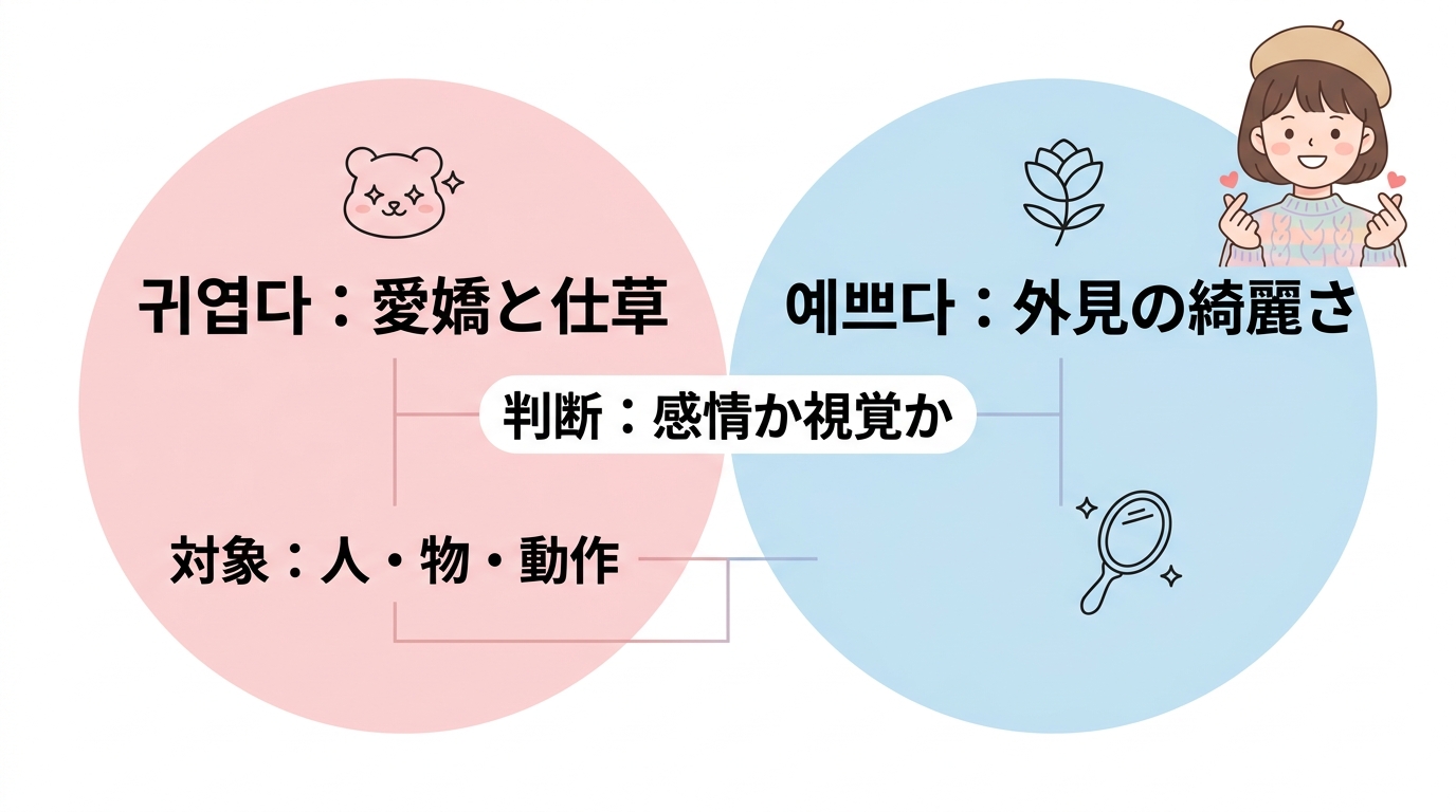 귀엽다と예쁘다の使い分けと違い