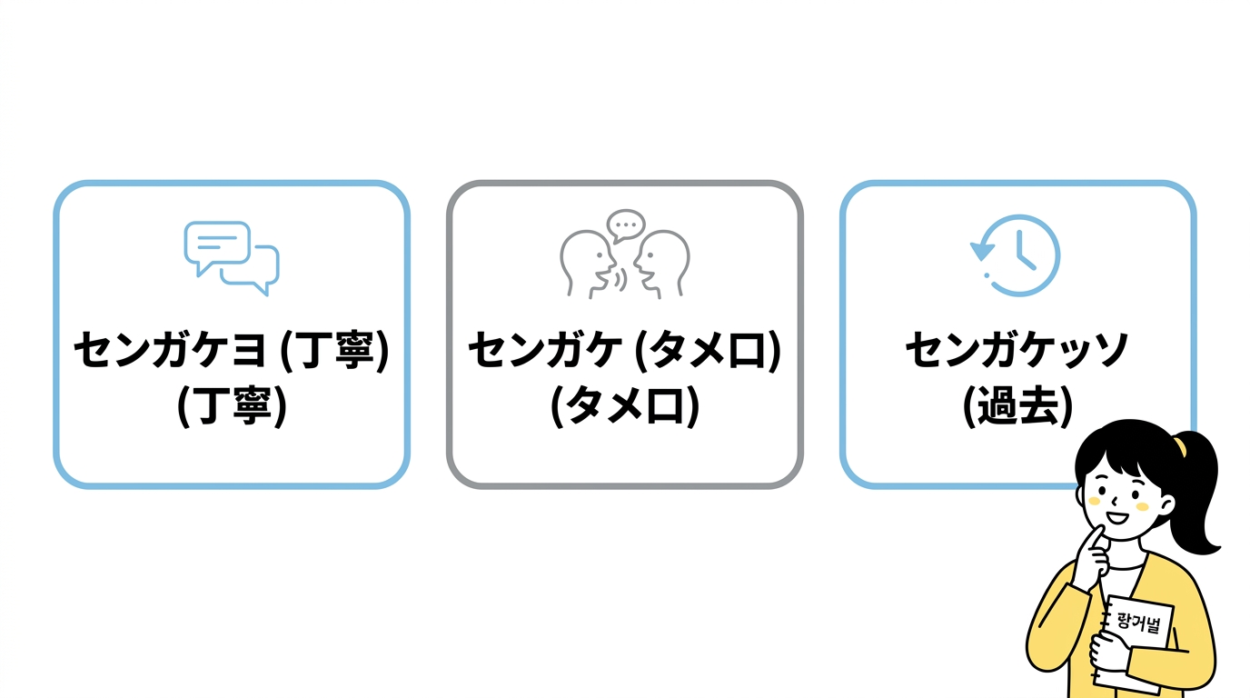 「センガカダ」主要な活用方法3つ