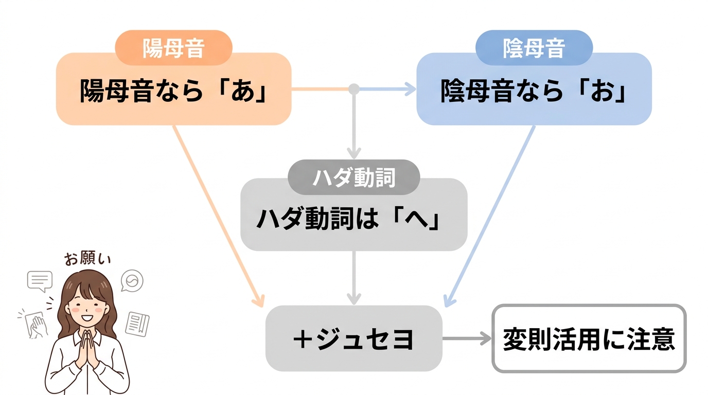 韓国語「ヘジュセヨ」の動詞活用ルール