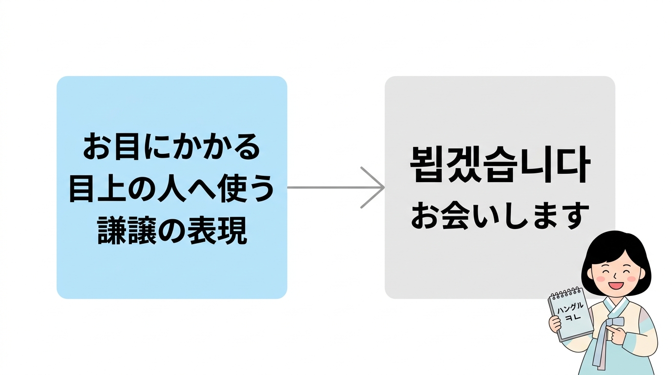 謙譲語「뵙다」を覚えよう